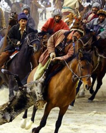 Bozkashi Trip